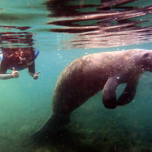 Meet your Posher, Becca